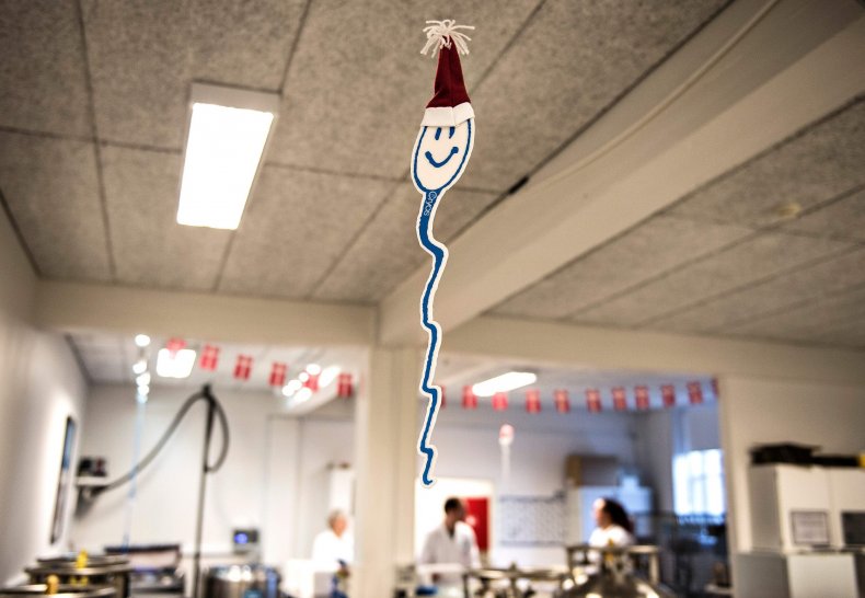 festive sperm