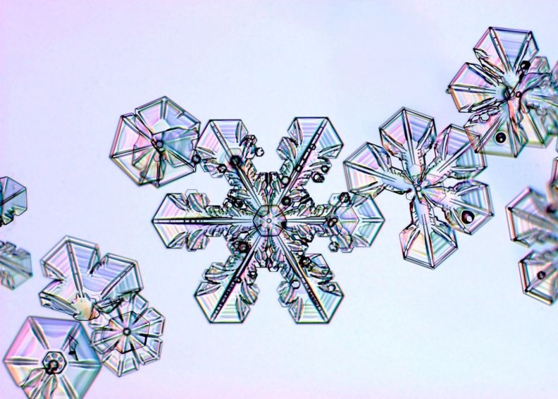 snowflake1 snowflake1