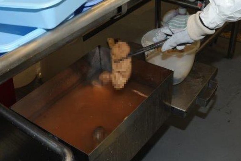 12_26_fetus_01