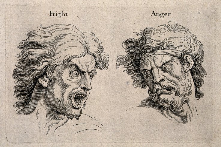A_frightened_and_an_angry_face,_left_and_right_respectively A_frightened_and_an_angry_face,_left_and_right_respectively