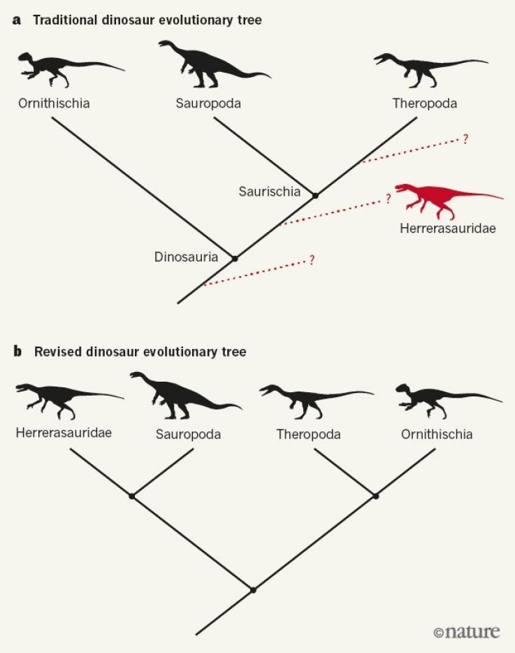 Dinosaur_Family_Tree_Rewrite Dinosaur_Family_Tree_Rewrite