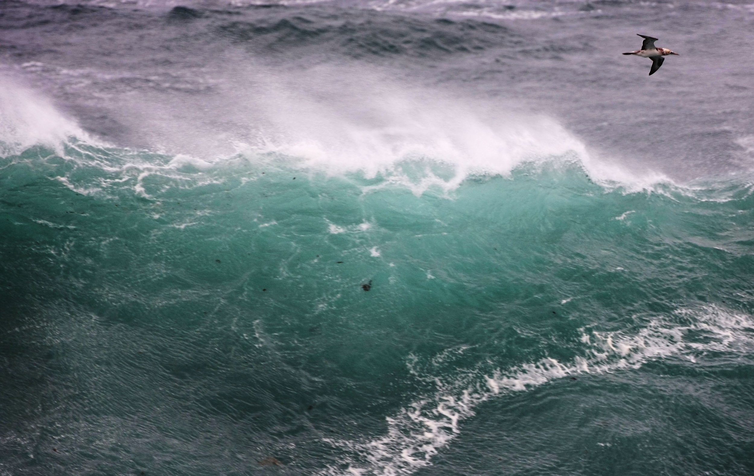 Whirlpool In Ocean