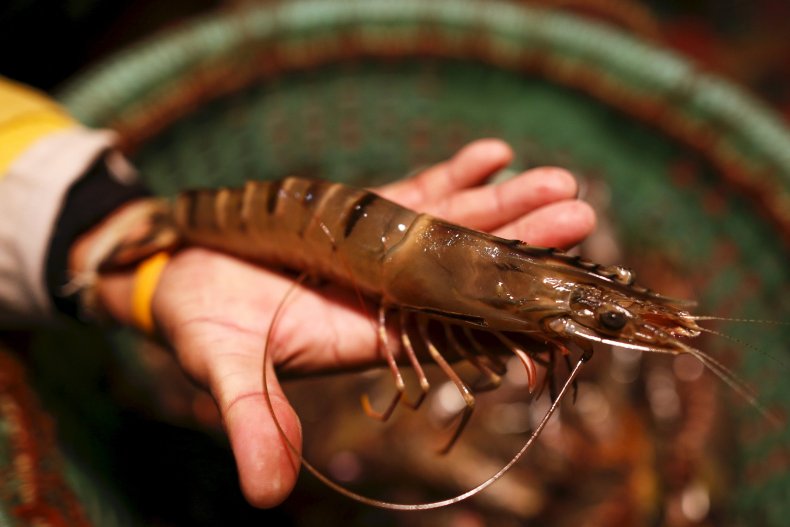 12_29_Shrimp Fishing