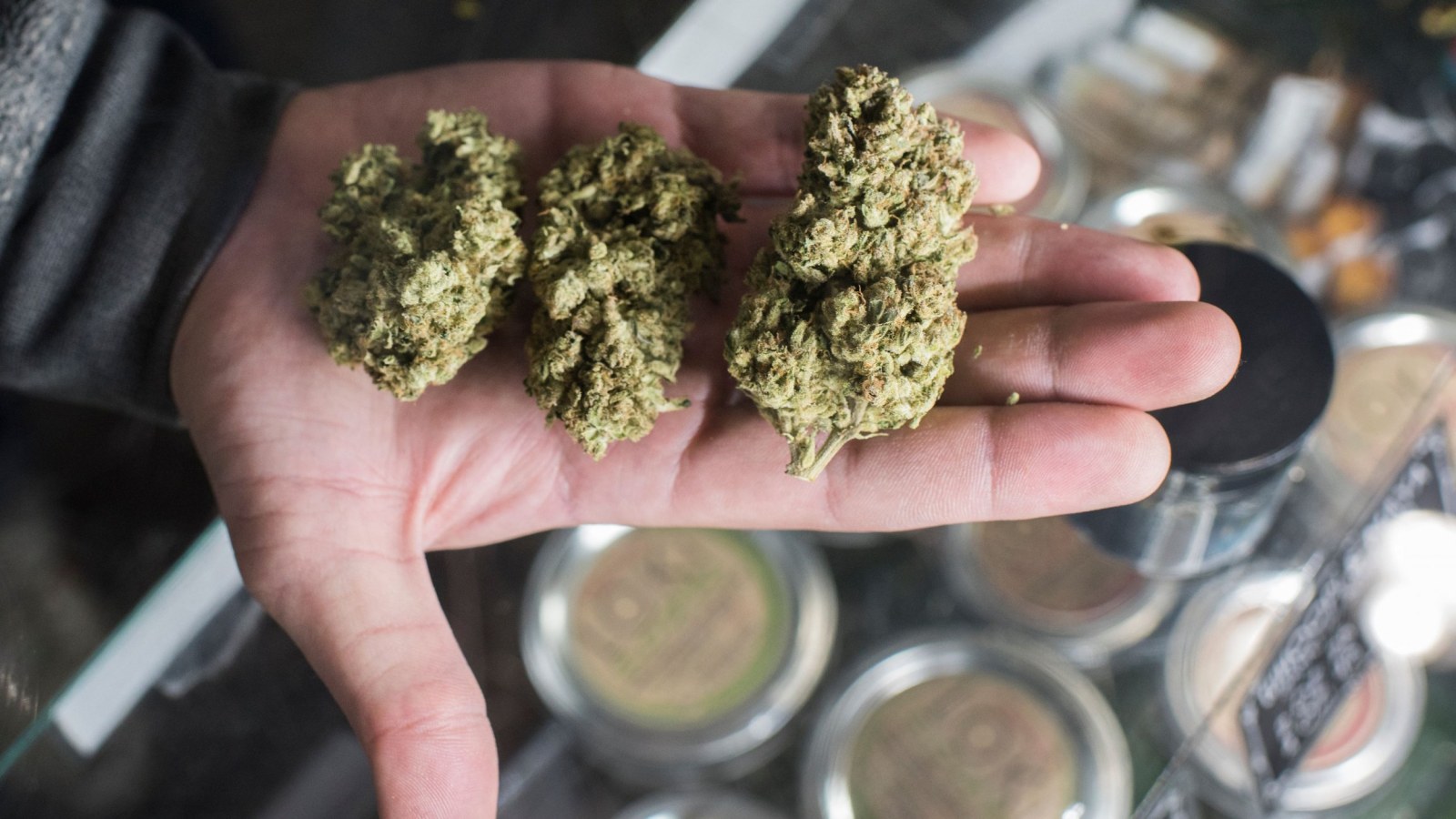 California Could Make More Money From Legal Pot Than Beer By 2019