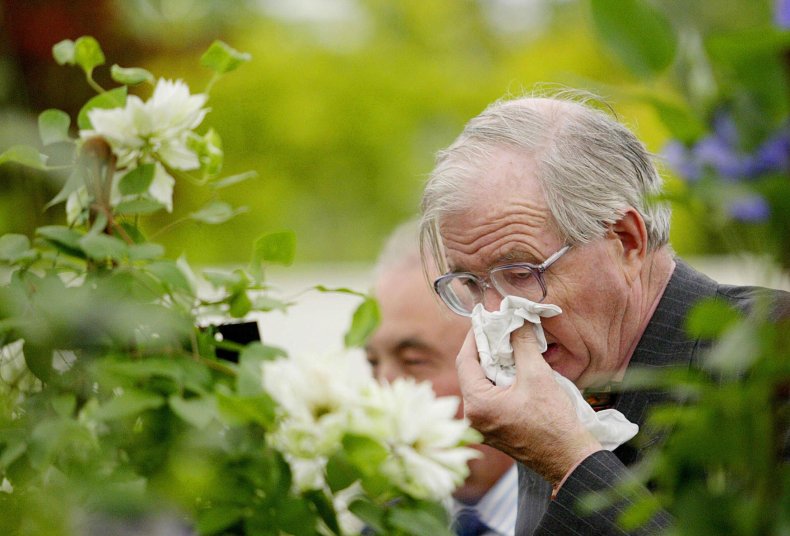 Man sneezing Man sneezing