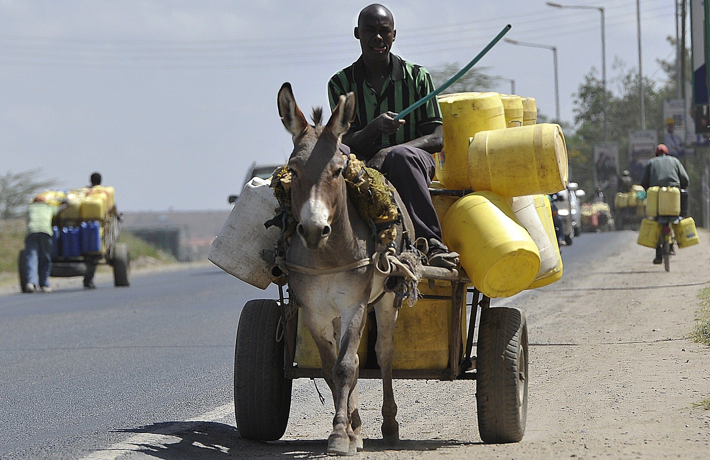 Donkey_Transports_Water