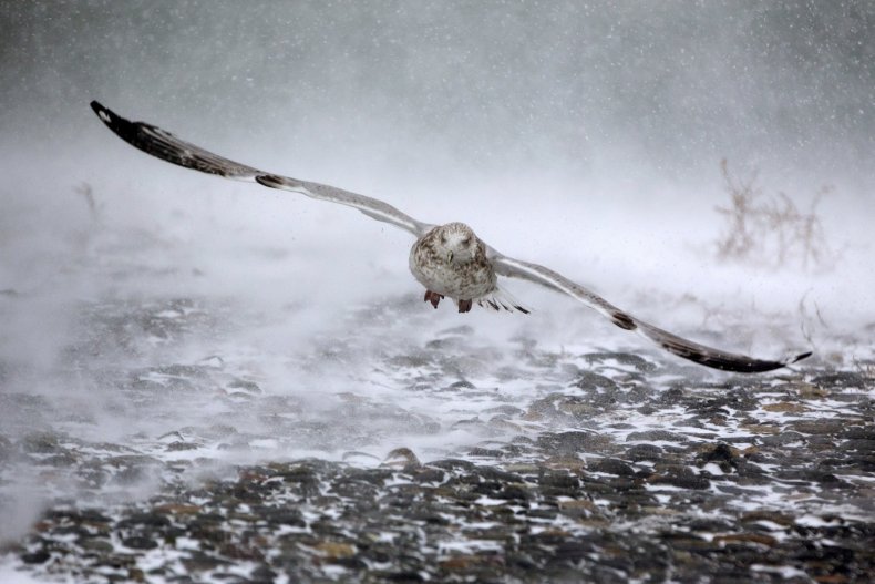 01_04_bombogenesis_winter_storm