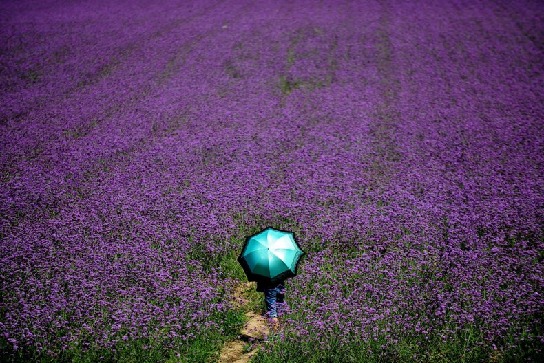 GettyImages-483699108 GettyImages-483699108
