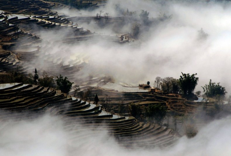 GettyImages-107445296 GettyImages-107445296