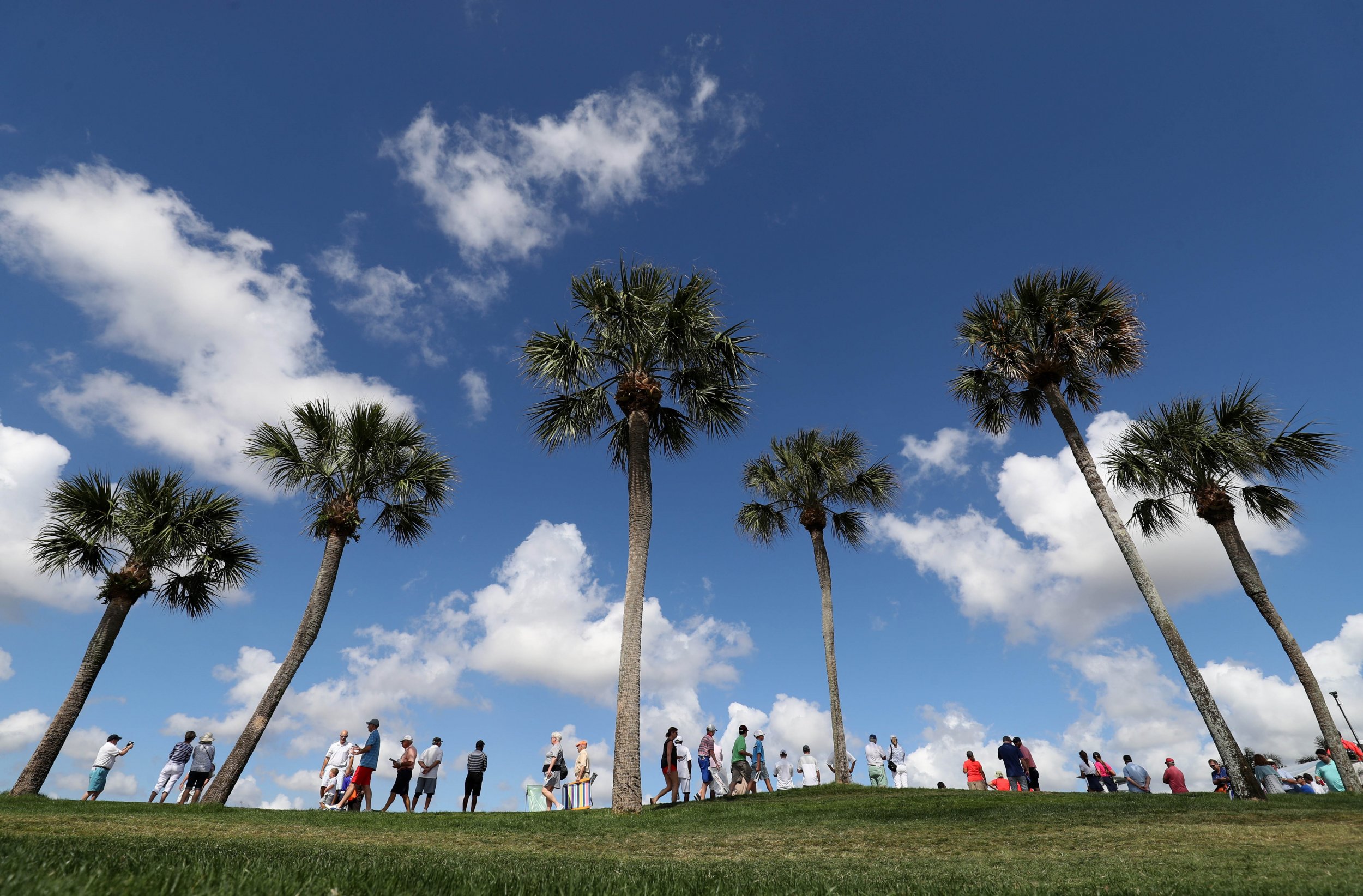 Adult Tree House Must Go After Supreme Court Refuses to Hear Florida Case