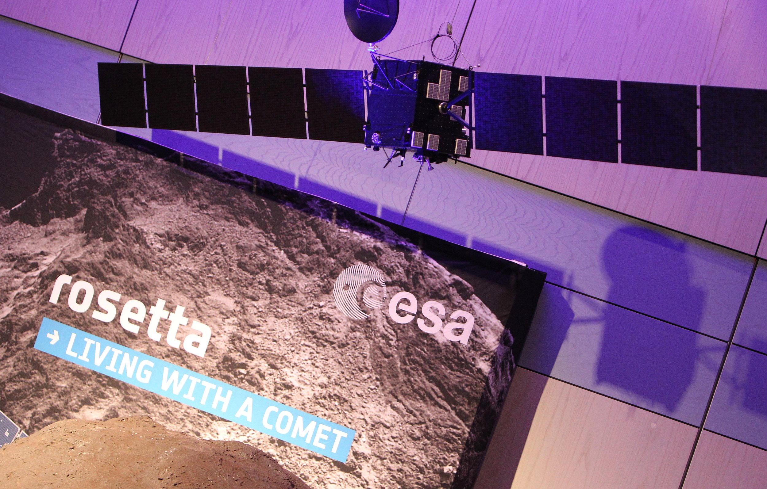 Rosetta model