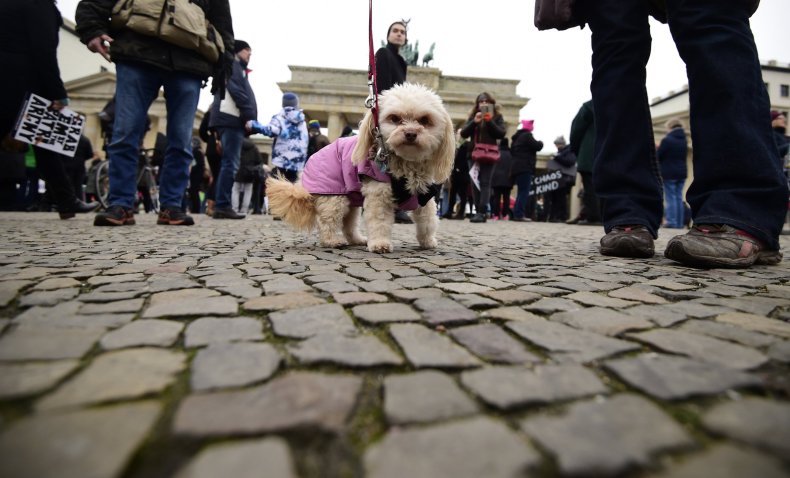 dog women's march
