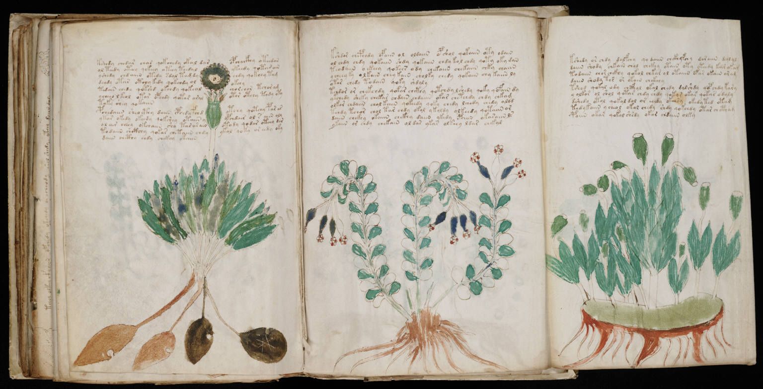 Voynich_Manuscript_(170)