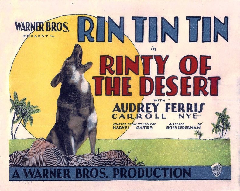 Rinty_of_the_Desert_lobby_card