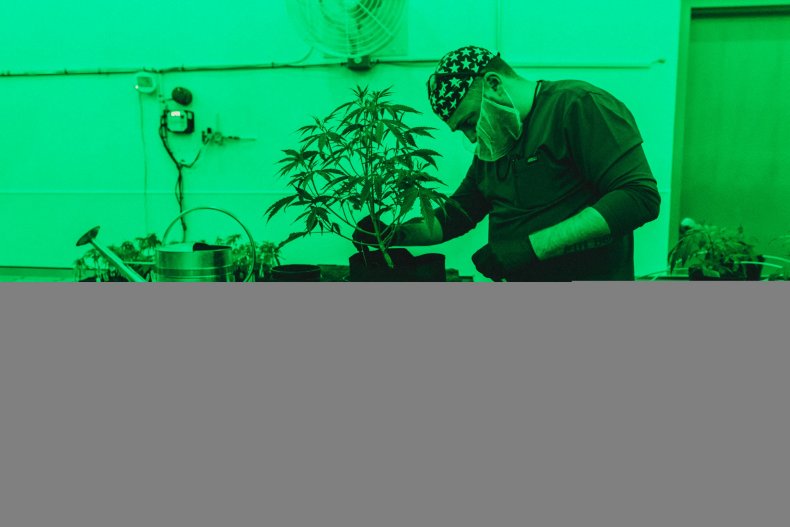 01_28_Marijuana