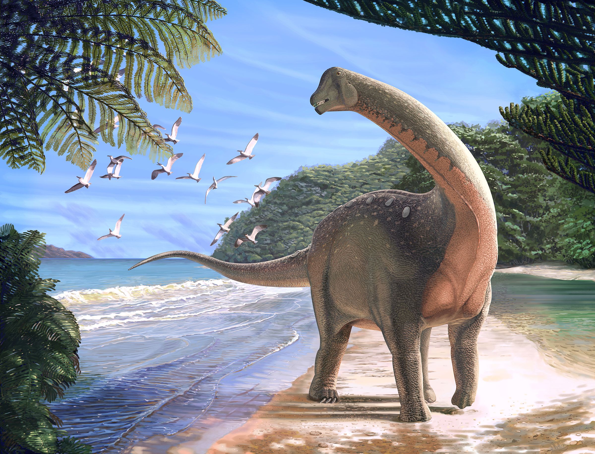 Когда жили динозавры видео. Титанозавр зауропод. Диплодок динозавр. Титанозавр Бревипароп. Травоядные динозавры Юрского периода.