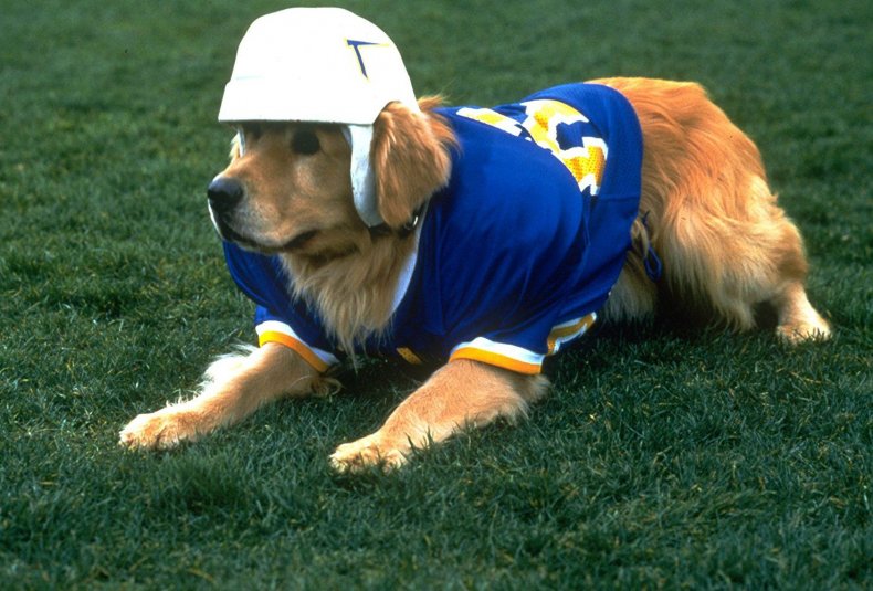 air-bud