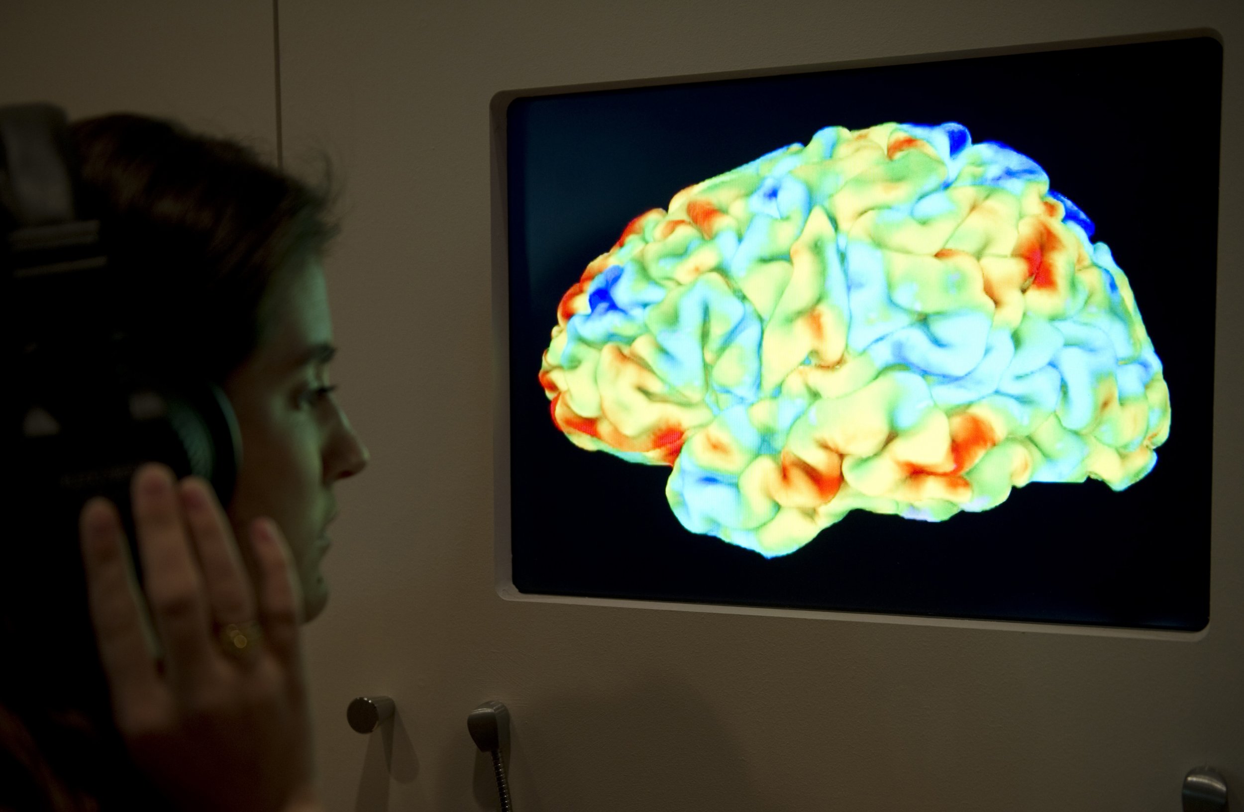 Great Minds Think Alike Friends Brains Work In Similar Ways Neuroimaging Shows