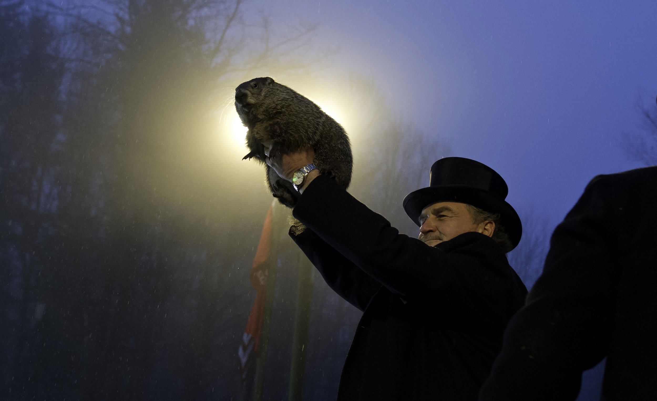 Groundhog Day Live Stream 2018: Watch Punxsutawney Phil See His Shadow