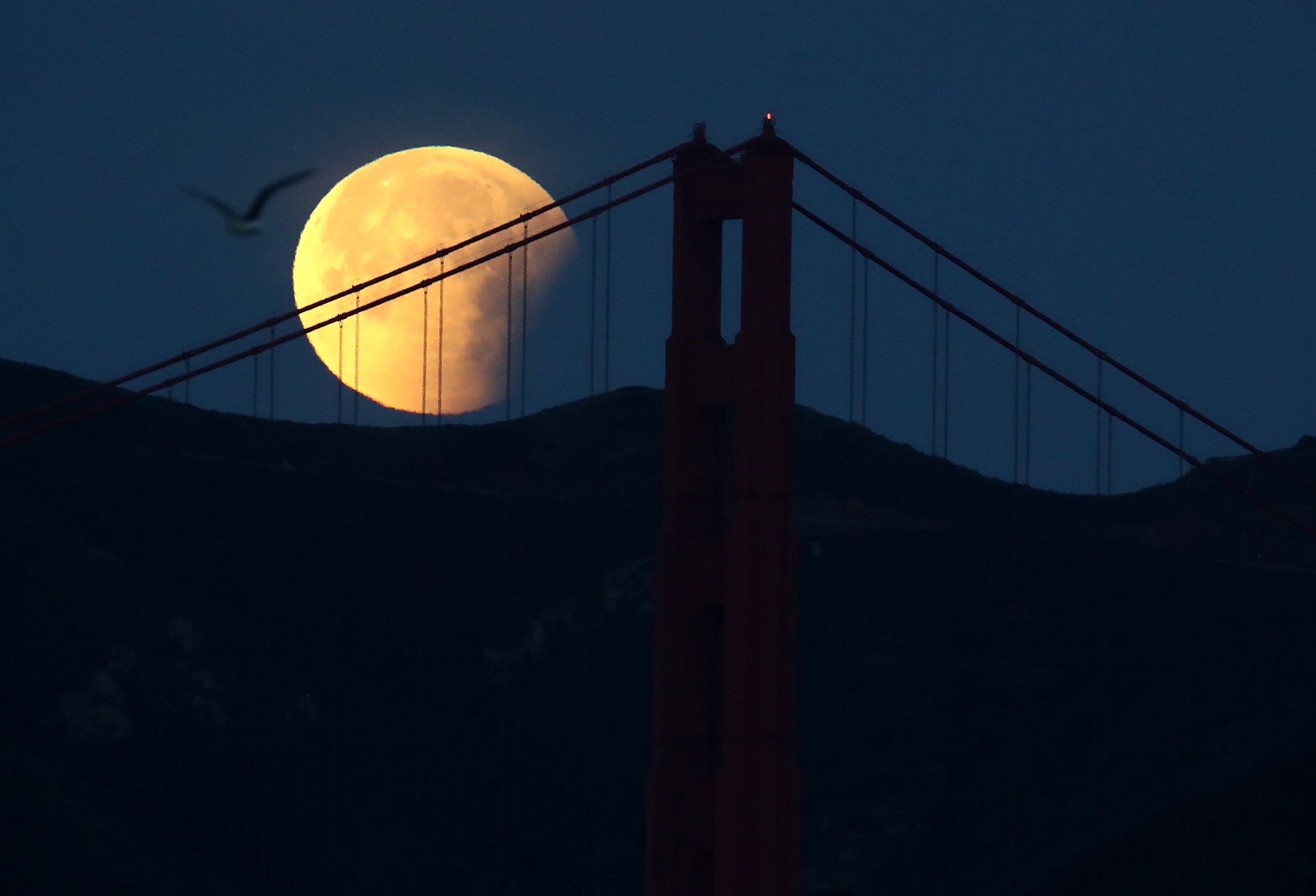 Super Blue Blood Moon 2018: Here Are The Best Pictures Of The Lunar ...