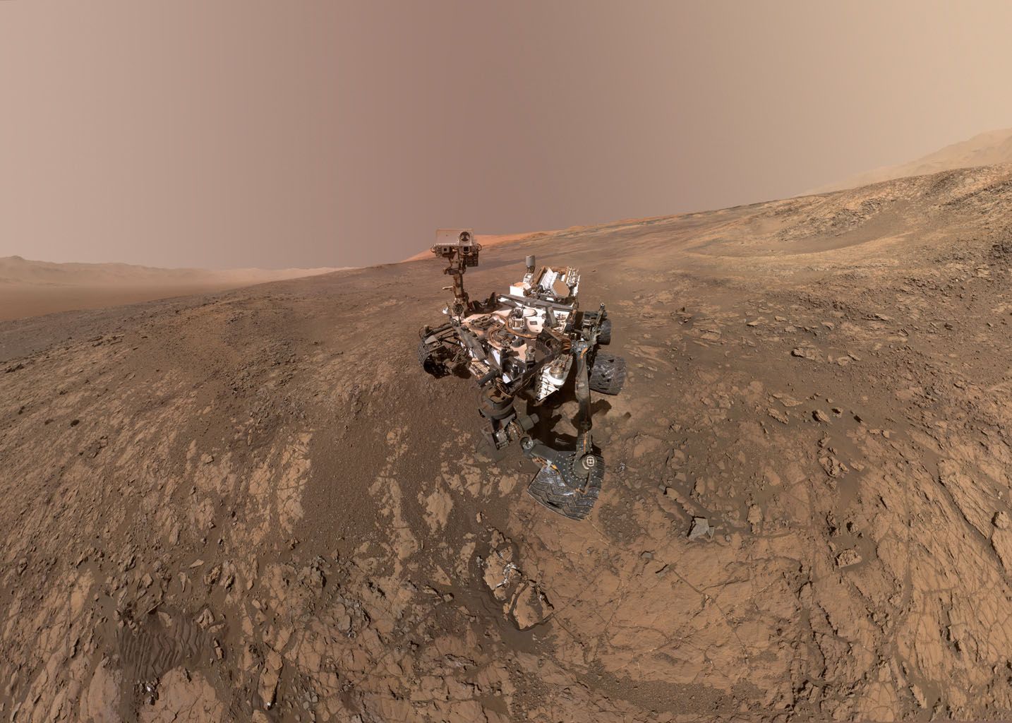 curiosity selfie