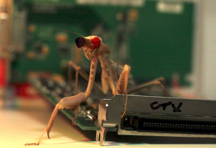 2_9_Mantis circuit board 2_9_Mantis circuit board