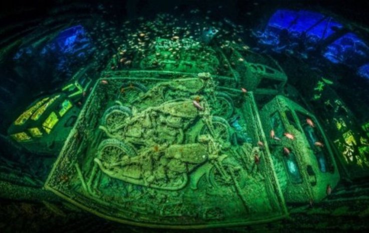underwater-photographer-of-the-year-2018 underwater-photographer-of-the-year-2018