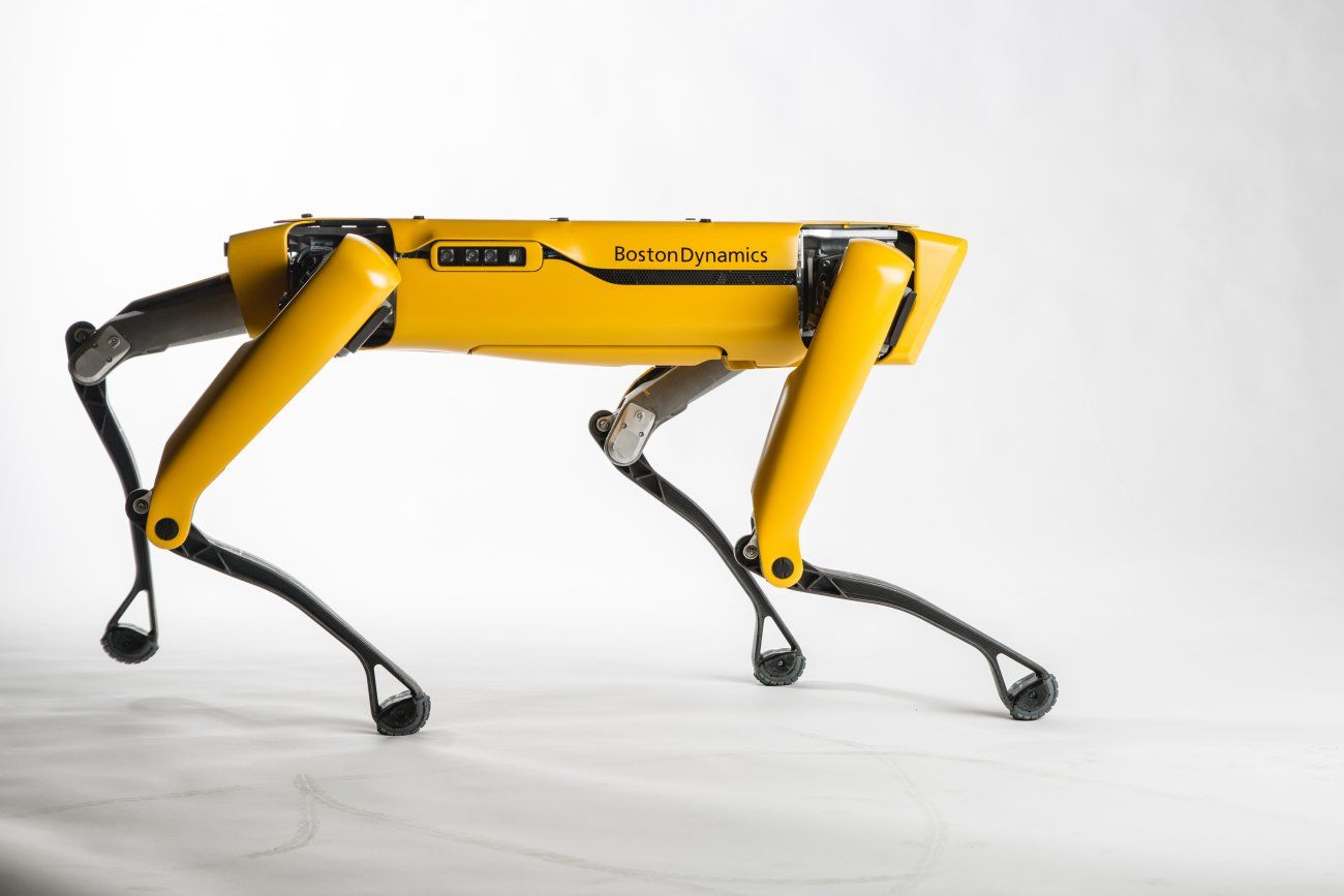 robot dog spotmini boston dynamics