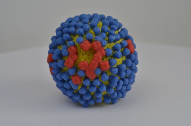 virus model NIH