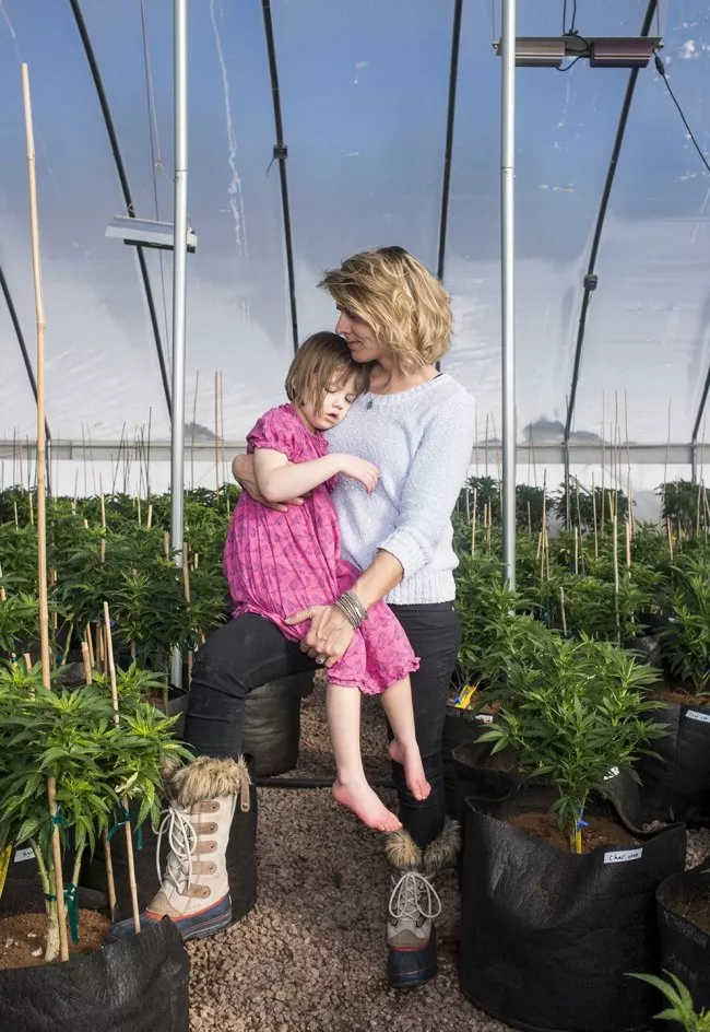Weed Dating Colorado Springs