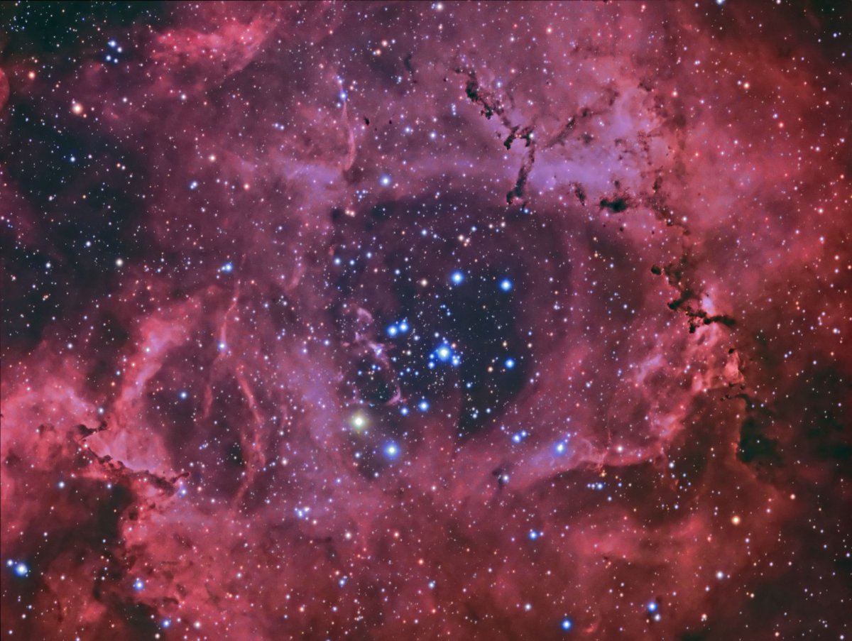 2_14_Rosette nebula