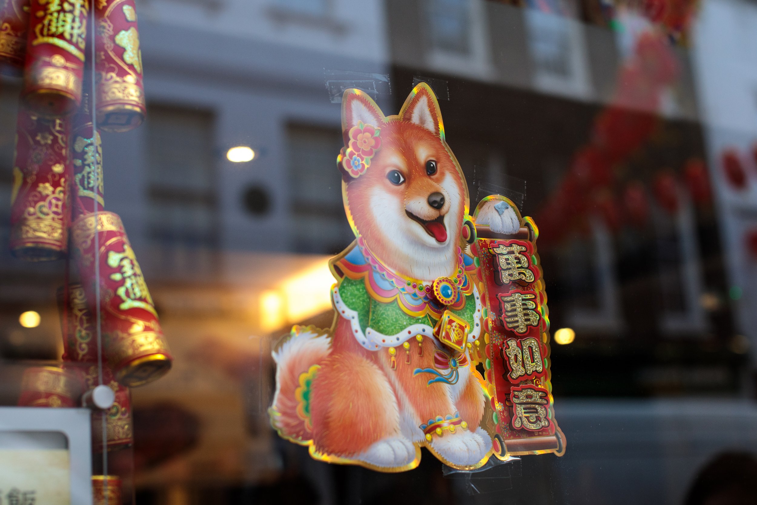 what does dog mean in chinese new year