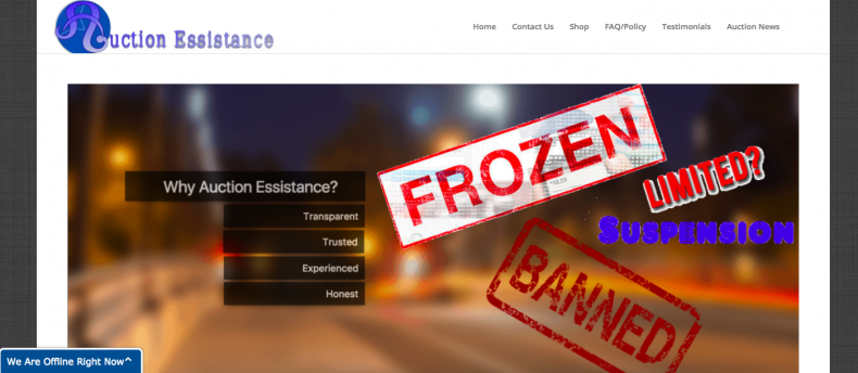 auctionessistance.com auctionessistance.com