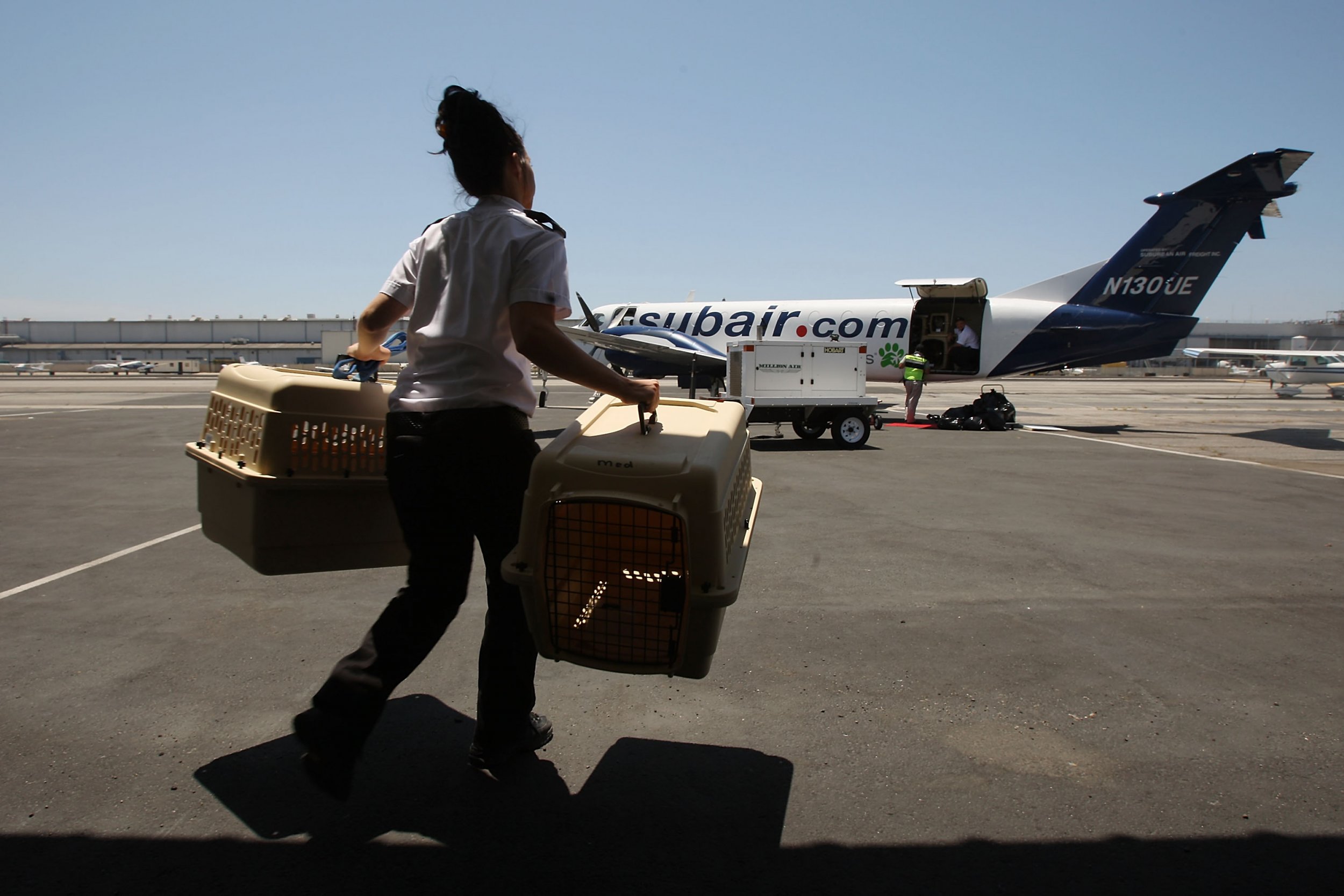 southwest airlines delayed baggage