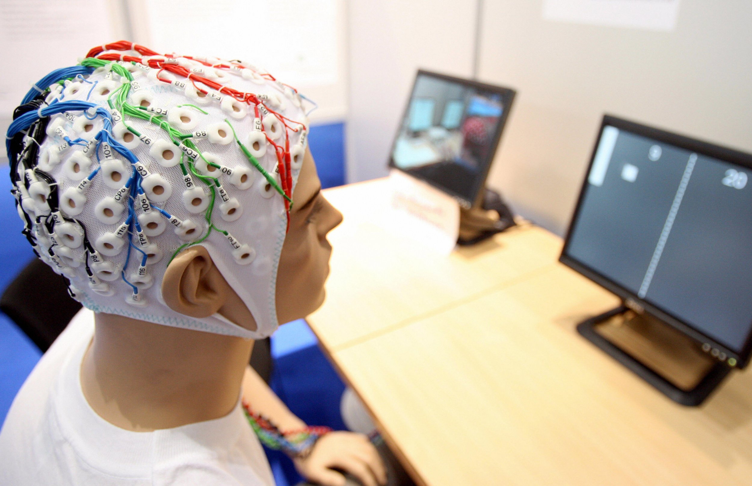 EEG cap mannequin