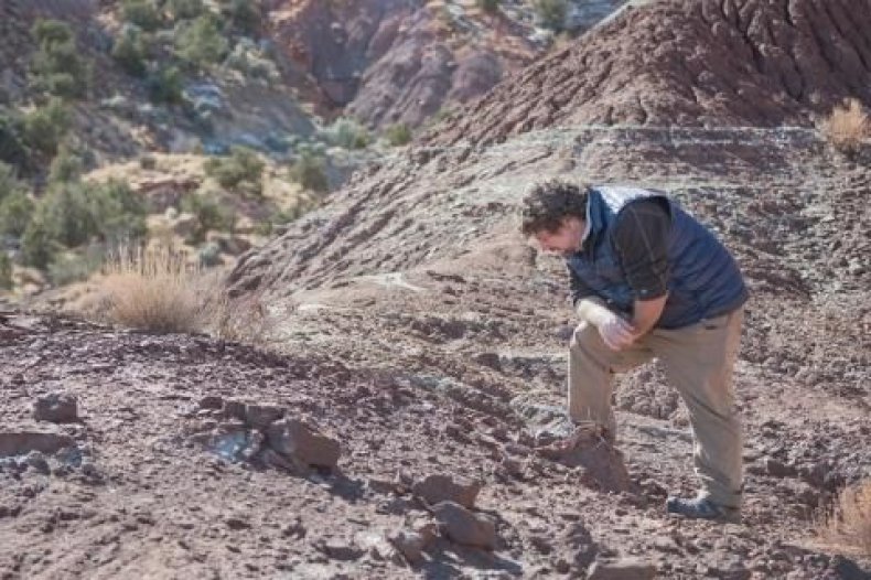 paleontologist