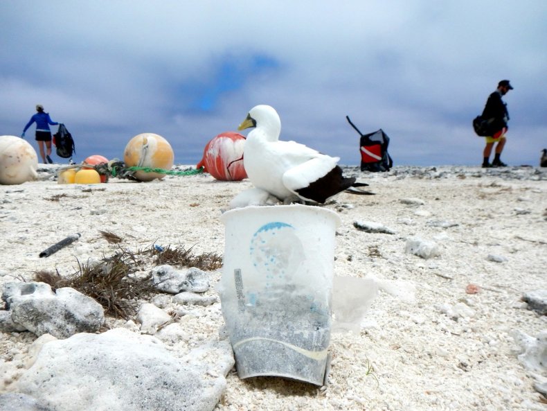 beach plastic