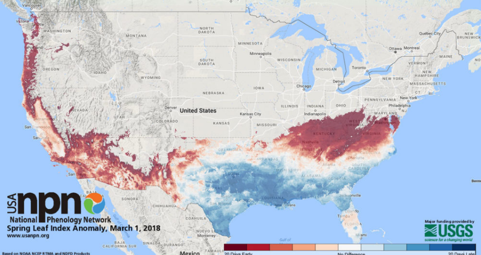 Winter Weather: Spring in the U.S. Is Arriving Several Weeks Early ...