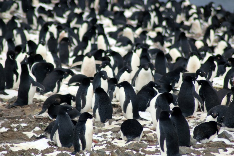 Danger Islands Expedition Image (9)