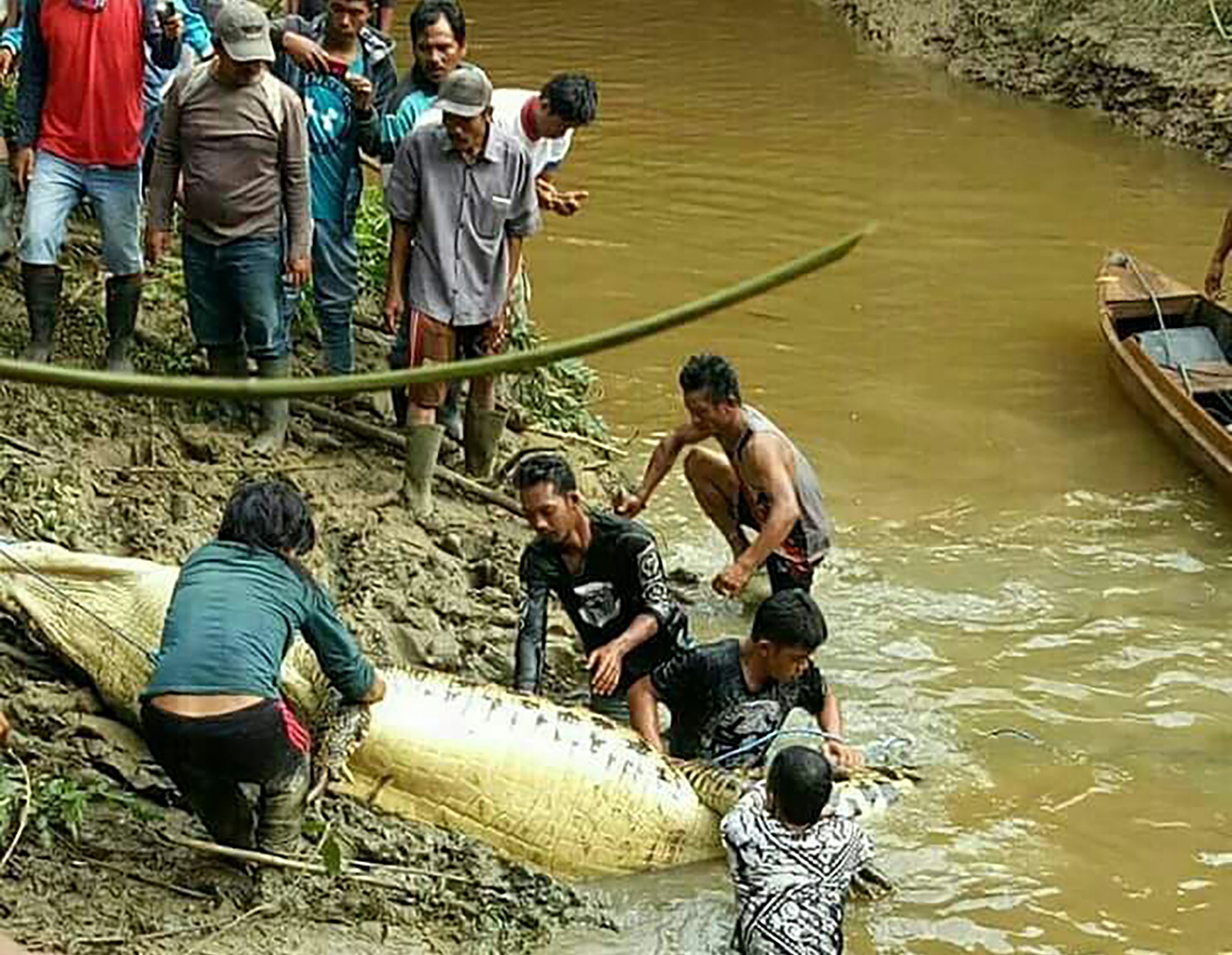 Human remains found inside crocodile