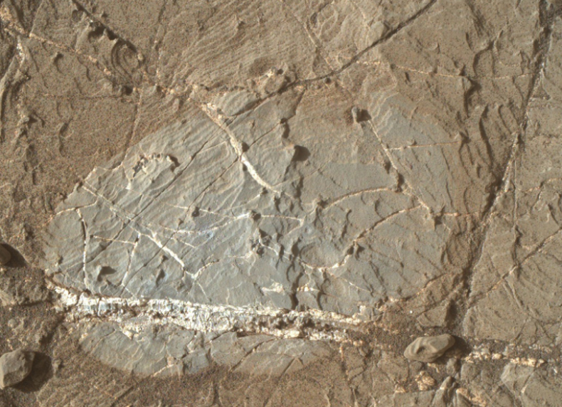 mars2