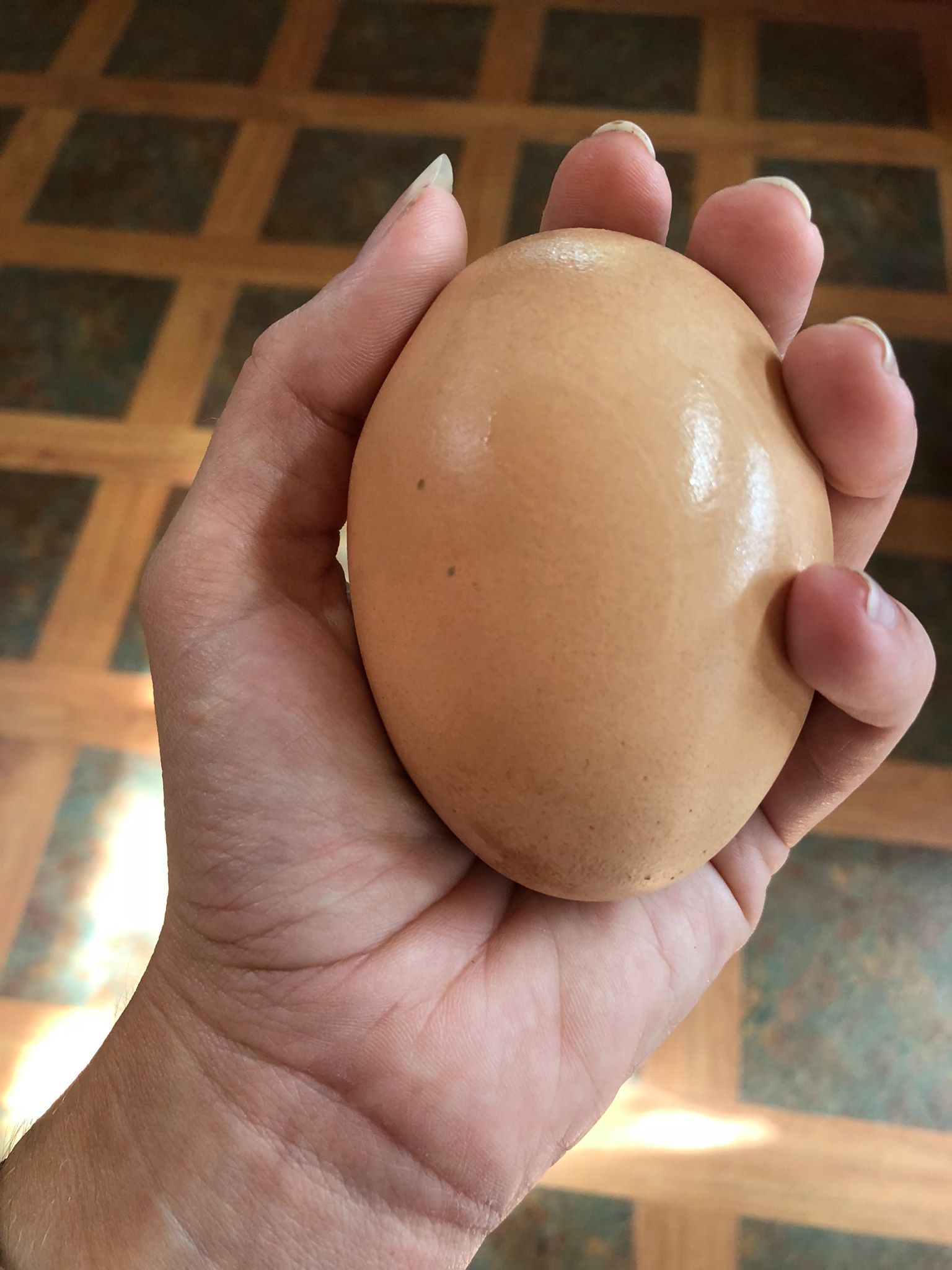 I ve Never Seen Anything Like It Massive Chicken Egg With A Second Egg Inside Is A Freak Of Nature Newsweek