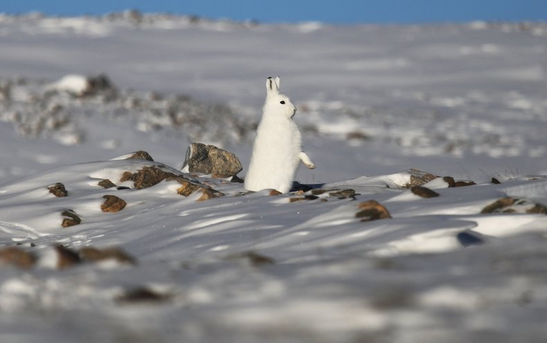 GettyImages-664083116 GettyImages-664083116