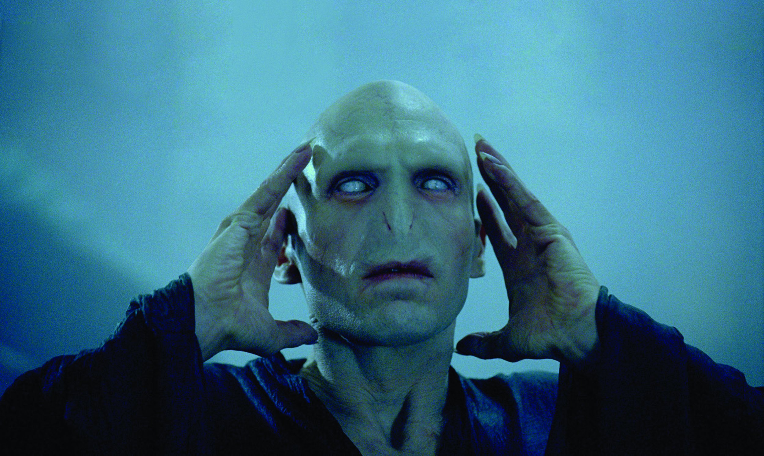 harry potter goblet of fire voldemort