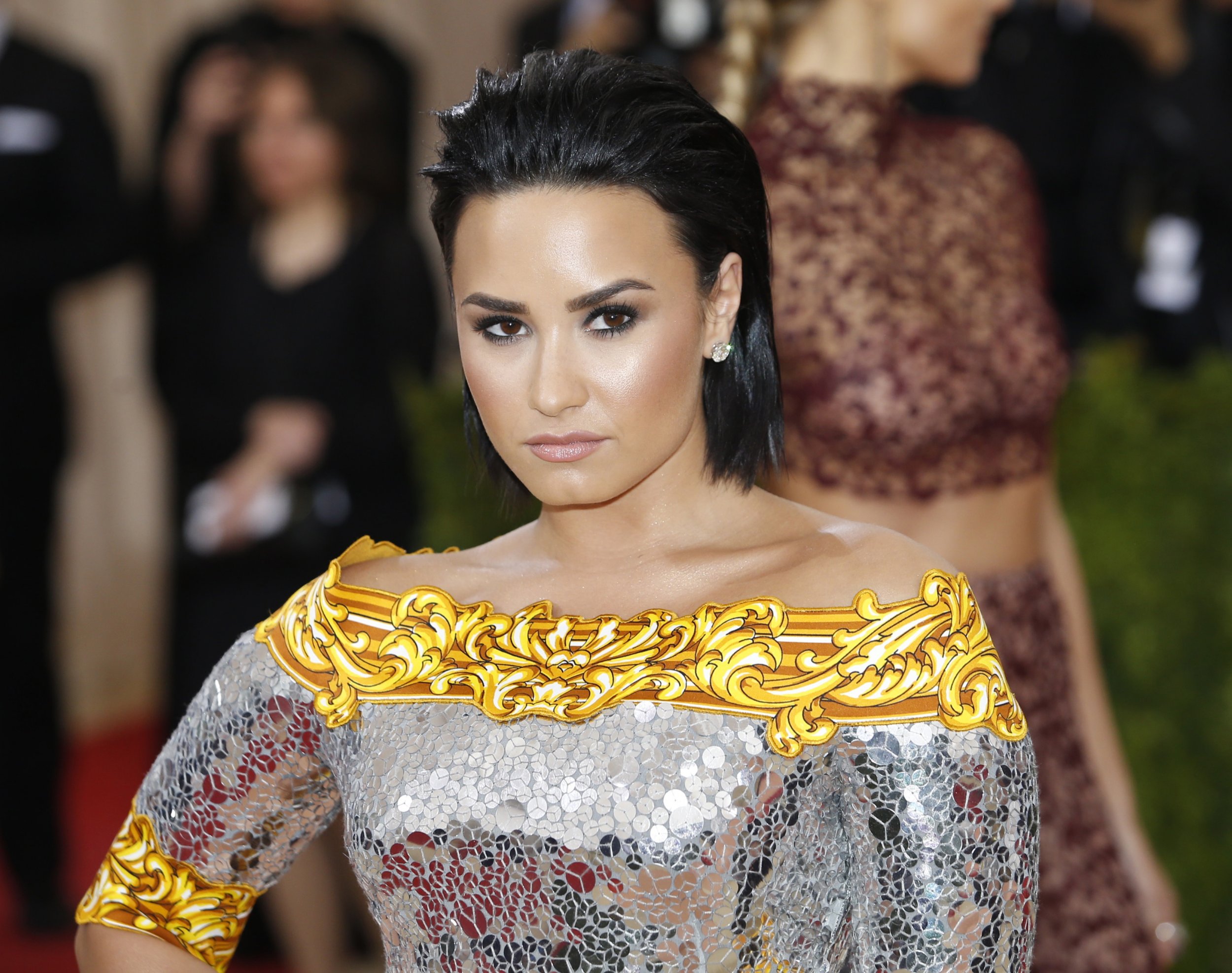 Demi Lovato 'Related More' To People At Aa Than The 'Fake' Attendees At  2016 Met Gala