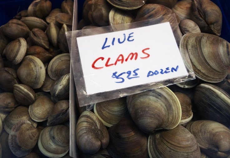 clams dc europe trade clams dc europe trade