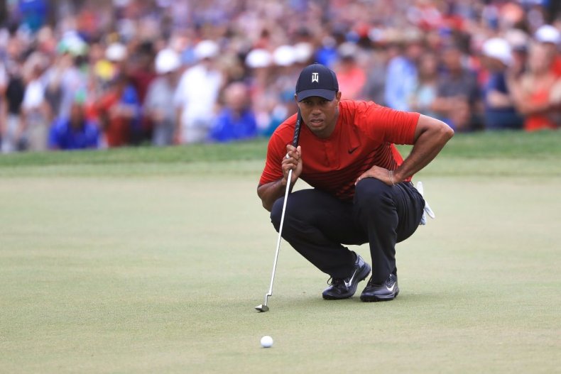 Tiger's Back