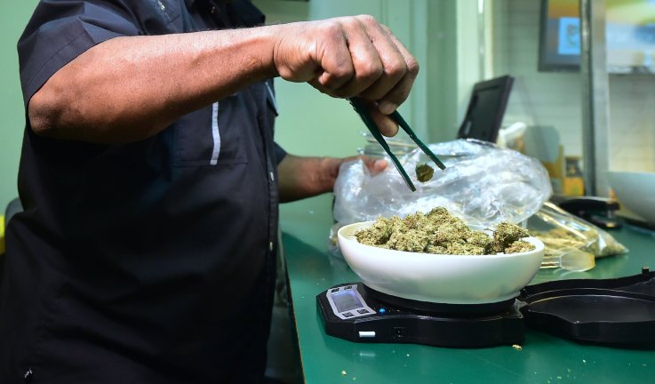 marijuana la dispensary marijuana la dispensary