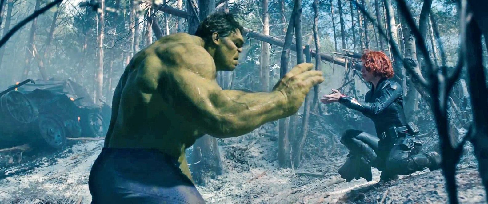 'Avengers: Infinity War' Spoilers: Mark Ruffalo Says Hulk Knows