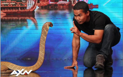 Expert Snake Handler Dies After Cobra Bite